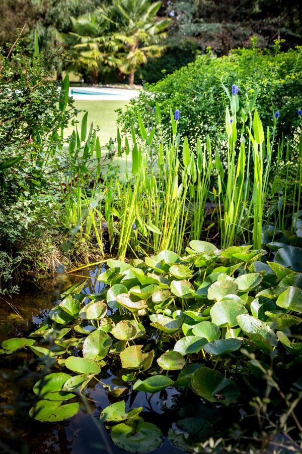 Le Champ Du Renne Bed and Breakfast Le Mans Buitenkant foto