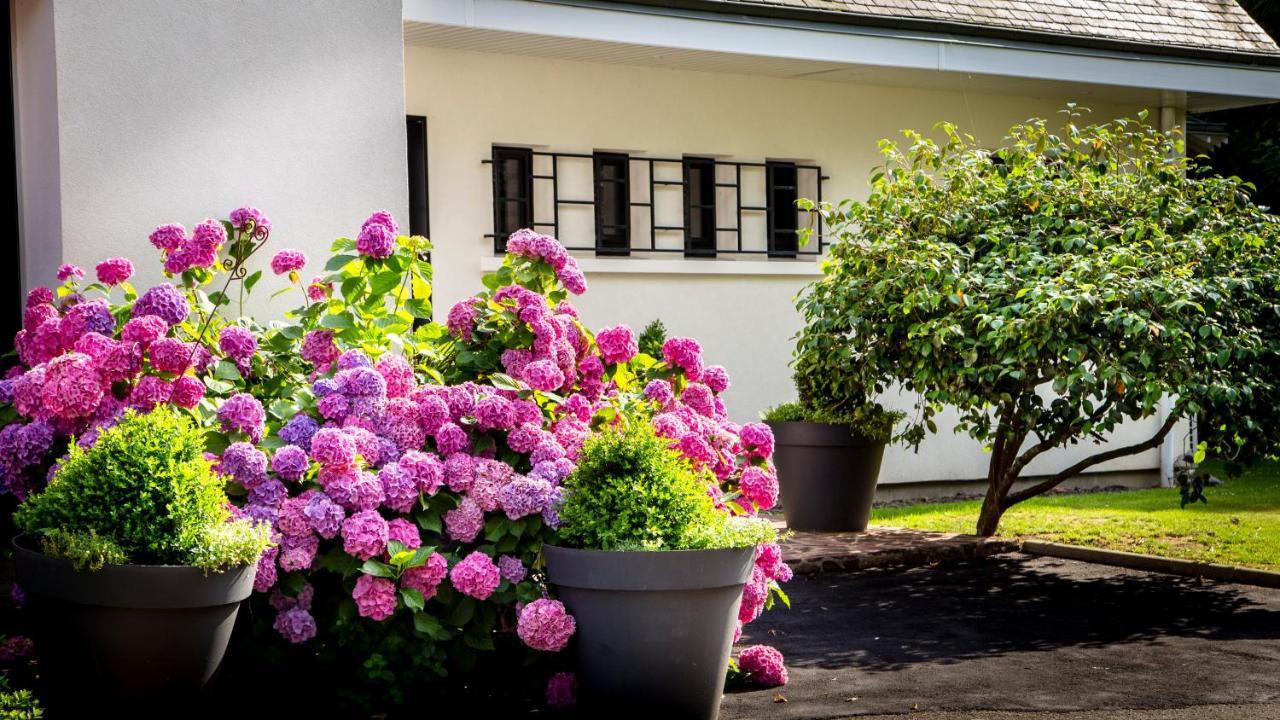 Le Champ Du Renne Bed and Breakfast Le Mans Buitenkant foto